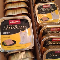 photo de livraison pour Les Chats-Pitresdelavi-Ste