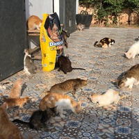 photo de livraison pour Corinne Teissier