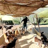photo de livraison pour Sanctuaire de la Faune de Tanger (SFT)