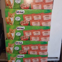 photo de livraison pour Les chats Port-Saint-Louisiens