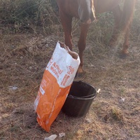 photo de livraison pour Equi-Libre : Droit à la Retraite Equine