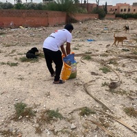 photo de livraison pour L'Arche de Noé