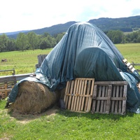 photo de livraison pour ADADA