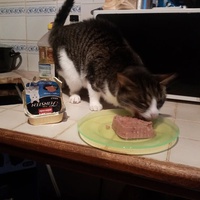 photo de livraison pour A Pas De Chats