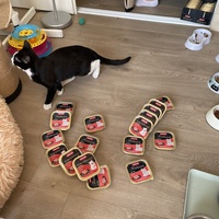 photo de livraison pour Les P’tits Bâtards