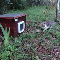 photo de livraison pour Clan du chat libre