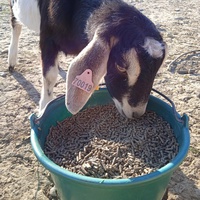 photo de livraison pour La Ferme des Zanimobiles