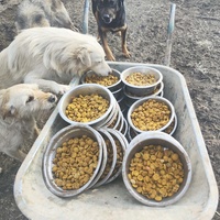 photo de livraison pour Svetlana Bjelogrlic