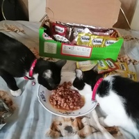 photo de livraison pour L'Espoir d'une Seconde Chance