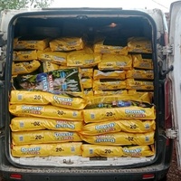 photo de livraison pour L'Arche de Noé