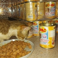 photo de livraison pour Samantha Réaux