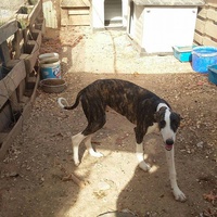 photo de livraison pour Cambiando Miradas