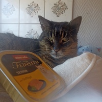 photo de livraison pour CAPPA