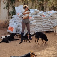 photo de livraison pour Help Adopt Moroccan Animals
