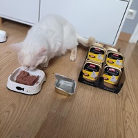 photo de livraison pour NAE-NUTTI - Les chats de la maison brûlée