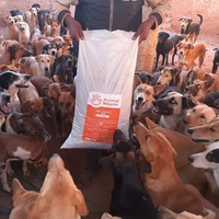 photo de livraison pour Le Coeur sur la Patte