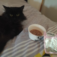 photo de livraison pour Ecole du Chat de Poitiers