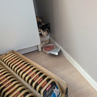 photo de livraison pour Sweety Pets