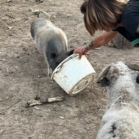 photo de livraison pour 4 Sabots et un Fer