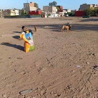 photo de livraison pour Comme Chiens et Chats Maroc