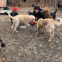 photo de livraison pour Saving Orphaned Souls Sheila's Animal Rescue Mission