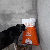 photo de livraison pour Speranta Pentru Animale