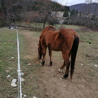 photo de livraison pour De la Main à la Patte