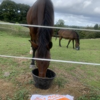 photo de livraison pour Espoir au Galop