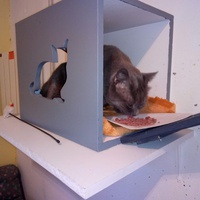 photo de livraison pour Ecole du Chat de Poitiers 