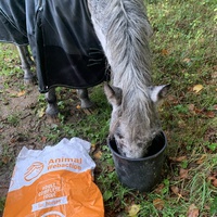 photo de livraison pour Espoir au Galop