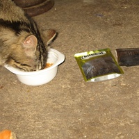photo de livraison pour Jardin des Chats