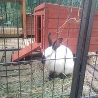 photo de livraison pour Poils de Tendresse