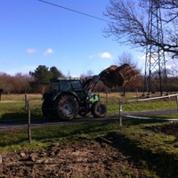 photo de livraison pour Cheval Espoir 33