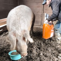 photo de livraison pour Chats Libres de Béziers
