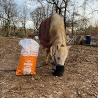photo de livraison pour Equi-Vivre