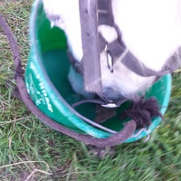 photo de livraison pour Les sabots dans l'herbe