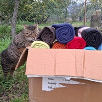 photo de livraison pour Contrôle & Protection des Chats Andréens