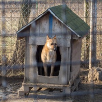 photo de livraison pour Azil Bella