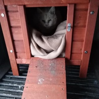 photo de livraison pour Sous l'Aile de Bastet