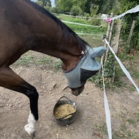 photo de livraison pour Association Equi’souffle