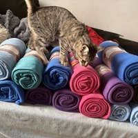 photo de livraison pour Chat Gratouille