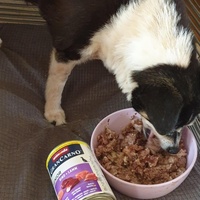 photo de livraison pour AVRAH