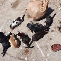 photo de livraison pour ADAN Essaouira