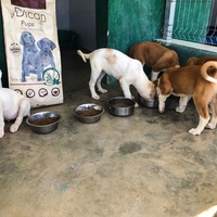 photo de livraison pour Huellas del Valle con Esperanza