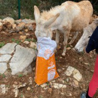 photo de livraison pour Equi-Vivre