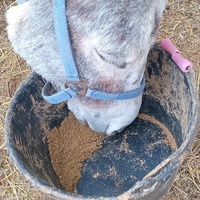 photo de livraison pour Equi-Libre : Droit à la Retraite Equine