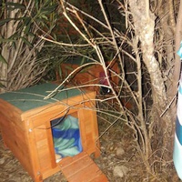 photo de livraison pour Les Chats Libres de la Canterrane