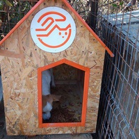 photo de livraison pour Refuge pour chiens de Baia Mare