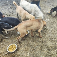 photo de livraison pour Svetlana Bjelogrlic