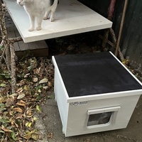photo de livraison pour Les chats de chez nous